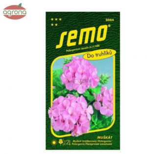 Muškát zonale SM ružový 11semien