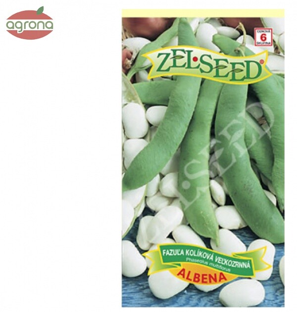 Fazuľa tyčková ZS Albena - na vylupovanie biela 38 g