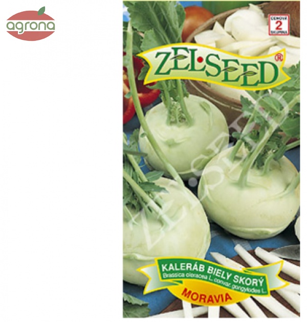 Kaleráb biely skorý ZS Moravia 0,80 g