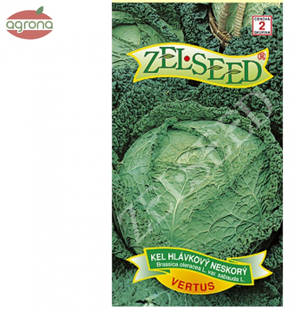 Kel hlávkový neskorý ZS Vertus 0,8 g