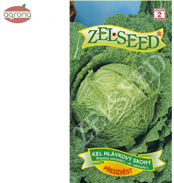 Kel hlávkový skorý ZS Předzvěst 0,8g