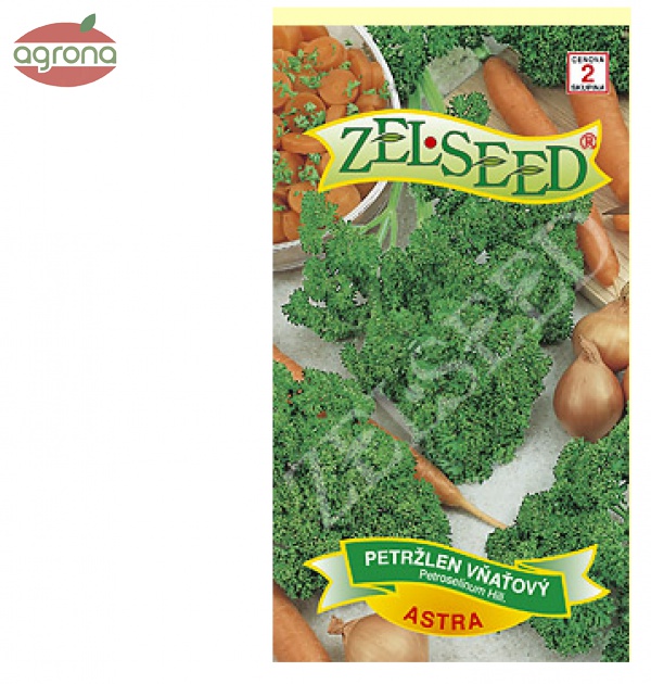 Petržlen vňaťový ZS Astra - kučeravý 3g