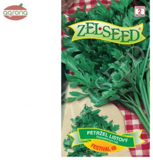Petržlen vňaťový ZS Festival 68 - hladký 3g