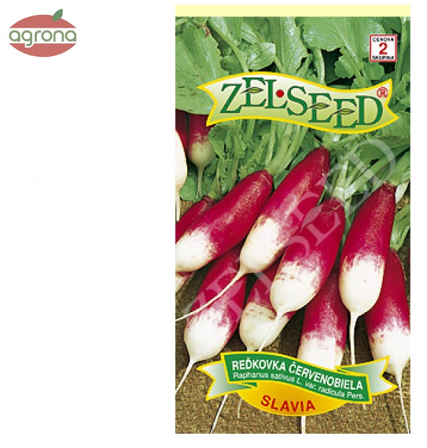 Reďkovka červenobiela ZS Slávia 5g