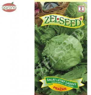 Šalát ľadový ZS Pražan 0,4g