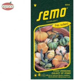 Tekvica okrasná SM Galaxy of Stars F1 0,4g