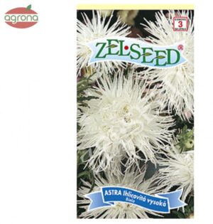 Astra ihlicovitá vysoká ZS biela 0,70 g