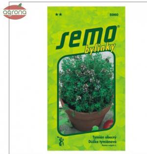 Tymián ZS (Dúška tymianová)