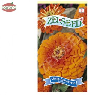 Cínia dáliokvetá ZS oranžová  0,80 g