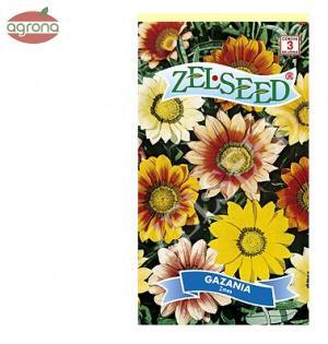 Gazánia žiarivá ZS zmes 0,10 g
