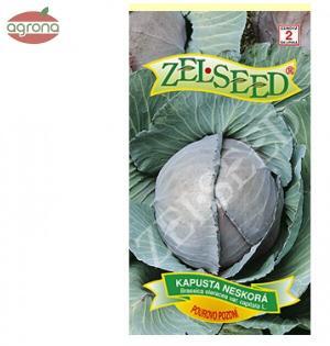 Kapusta neskorá ZS Pourovo pozdní