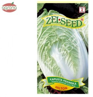 Kapusta pekingská ZS Hilton