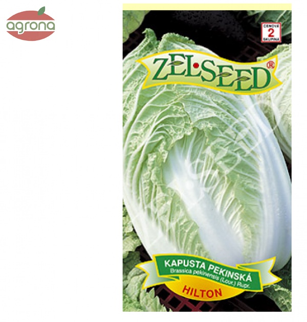 Kapusta pekingská ZS Hilton