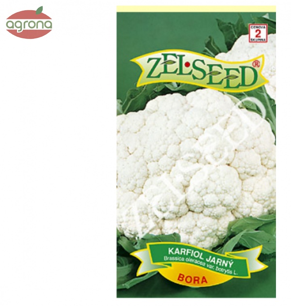 Karfiol jarný ZS Bora