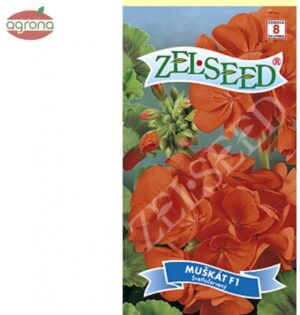 Muškát zonale ZS svetlo červený F1 8semien