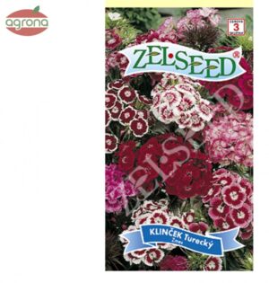 Klinček turecký ZS (Dianthus barbatus)