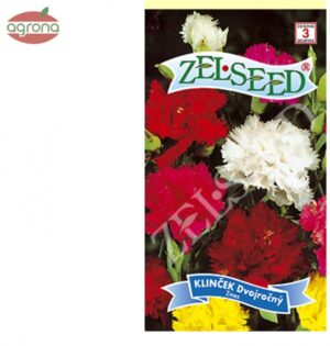 Klinček záhradný ZS dvojročný 0,4g