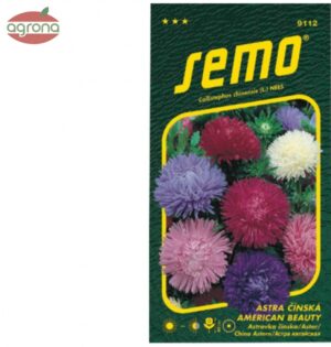 Astra Americká beauty SM zmes 0,5g