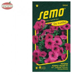 Petúnia Surfínia SM Purple Velvet F1 10s.