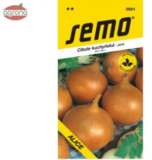 Cibuľa jarná SM Alica 2g