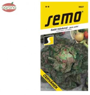 Šalát jarný SM Červánek 0,6g