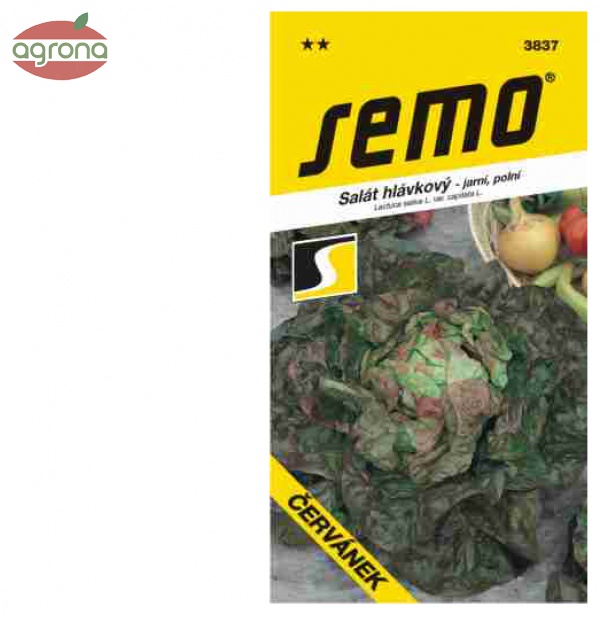 Šalát jarný SM Červánek 0,6g