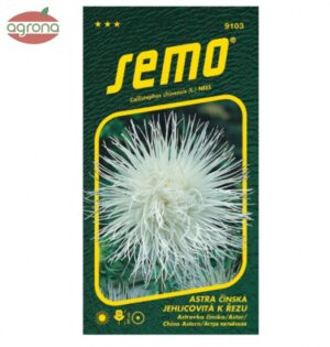 Astra ihlicovitá SM biela Elektric 0,5g