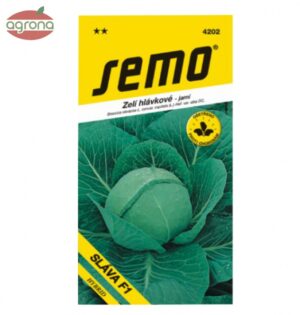 Kapusta jarná SM Sláva F1