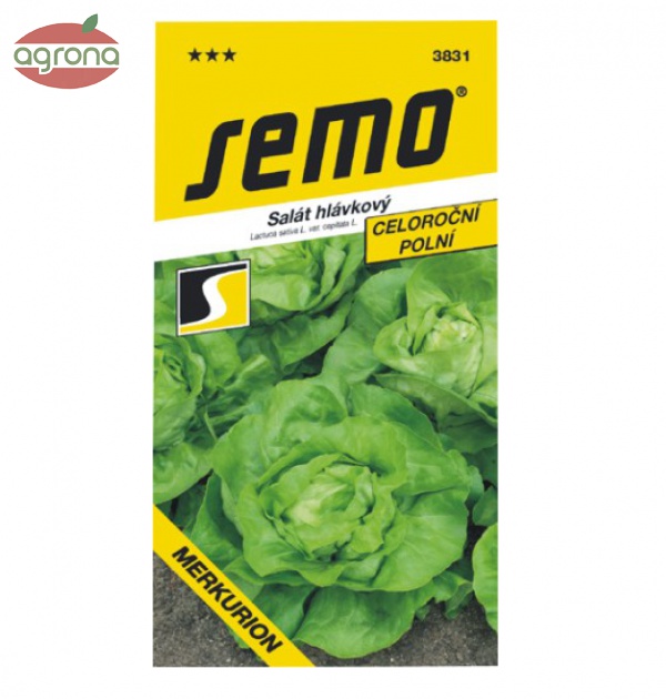 Šalát letný SM Merkurion - celoročný 0,6g