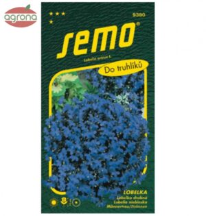 Lobelka modrá SM Crystal Palace