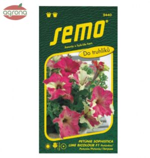 Petúnia SM Sophistica Lime Bicolor F1