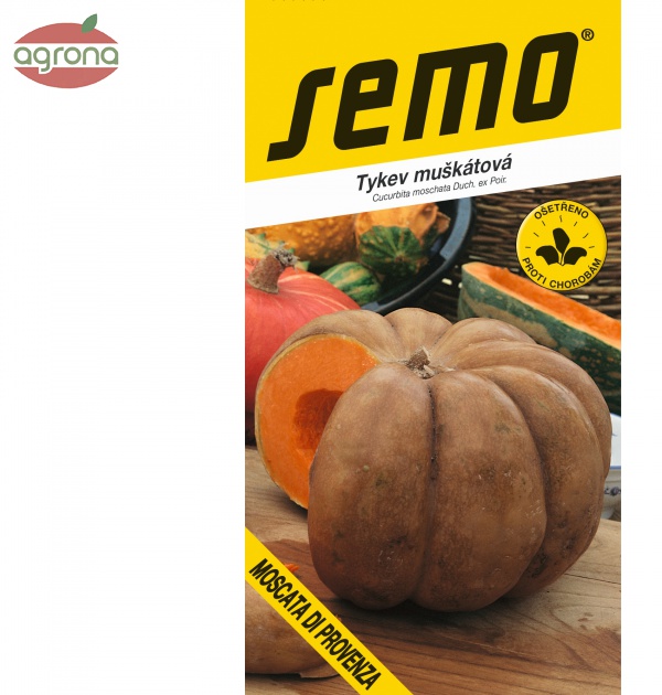 Tekvica SM Moscata di Provenza 2g