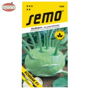 Kaleráb biely neskorý SM Kossak F1 25sem.