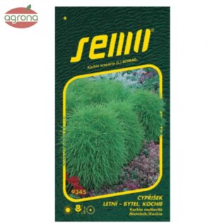 Kochia metlovitá SM zelená (Cyprištek) 0,7g