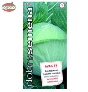 Kapusta neskorá DS Avak F1 30sem.