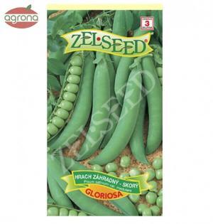 Hrach záhradný ZS Gloriosa 40 g