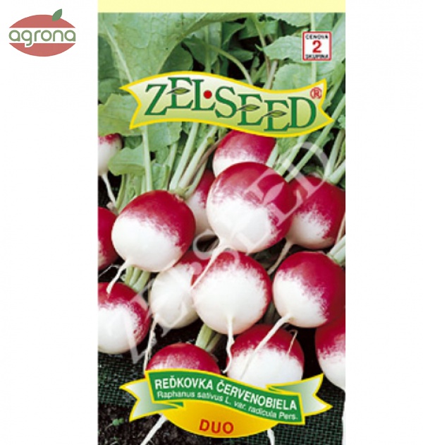 Reďkovka červenobiela ZS Duo