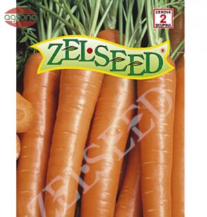 Mrkva poloskorá ZS Nantes3 (Tip-Top)