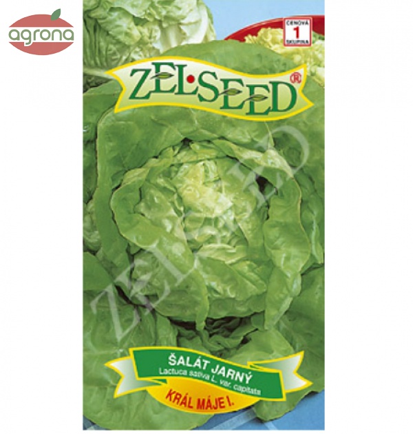 Šalát jarný ZS Kráľ Mája