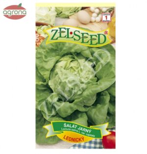 Šalát jarný ZS Lednický