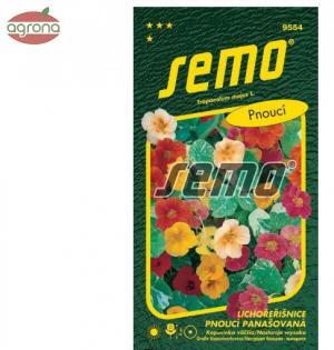 Kapucínka ťahavá SM Out of Africa 2g