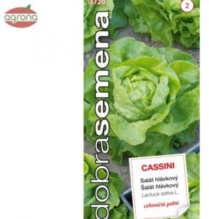 Šalát hlávkový DS Cassini - celoročný, 0,4 g