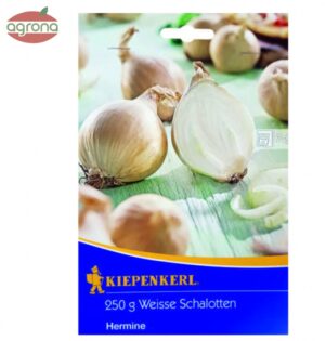 Cibuľka sadzačka Hermine 250g  7/15mm šalotka biela s obrázkom