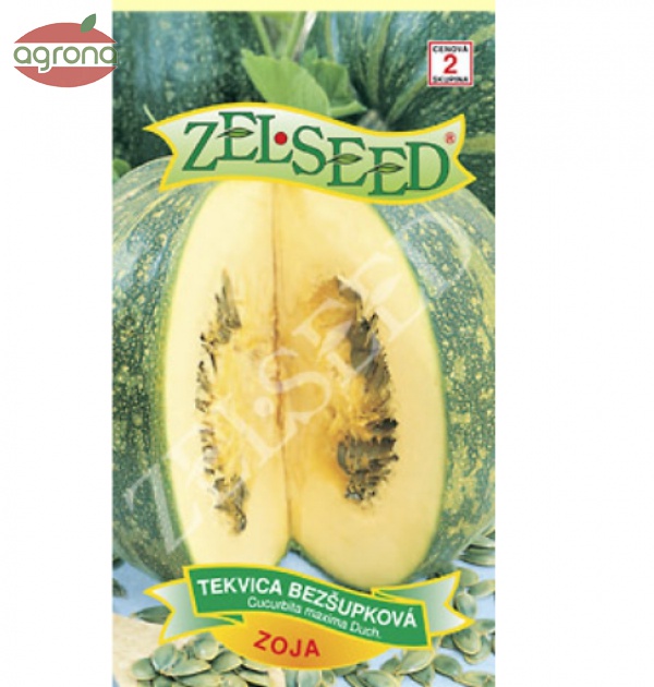 Tekvica olejná ZS Zoja - bezšupková