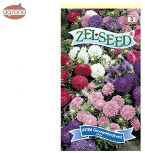 Astra nízka chryzantémokvetá ZS zmes 0,70 g