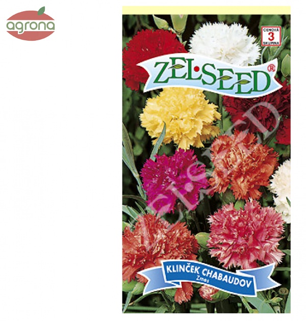 Klinček záhradný ZS Chabaud - karafiát 0,5g