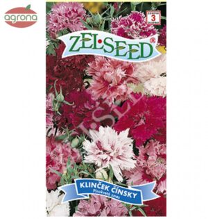 Klinček čínsky ZS plnokvetá zmes