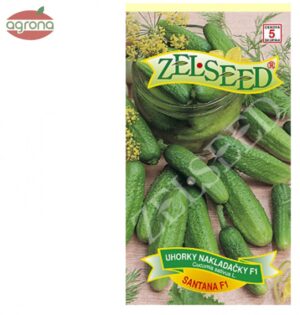 Uhorka nakladačka ZS Santana F1 1g