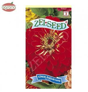 Cínia dáliokvetá ZS tmavo červená  0,80 g