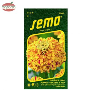 Cínia SM Popart Golden And Red, 0,25g